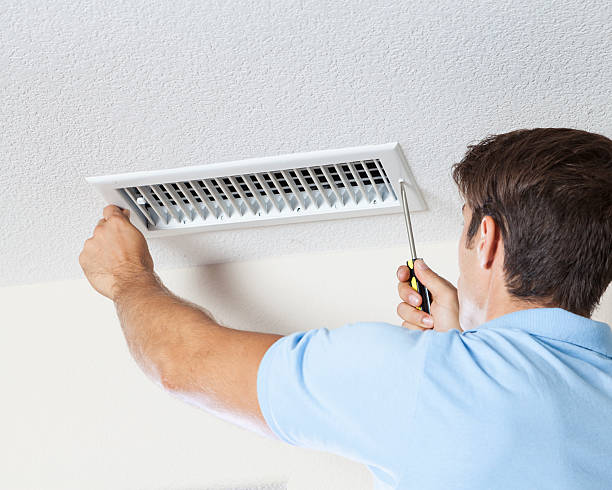 Best Black Mold Removal  in Rock Rapids, IA